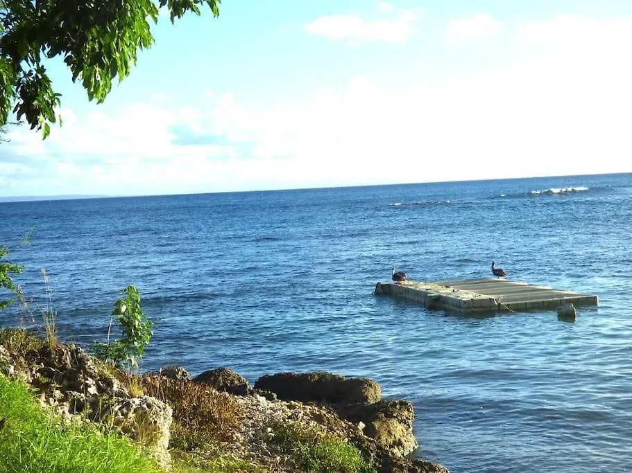 Studio Vue Mer - Village De Vacances - Sainte Anne Apartment Sainte-Anne (Grande-Terre)